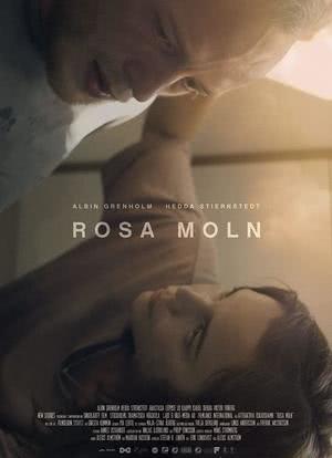 Rosa moln海报封面图