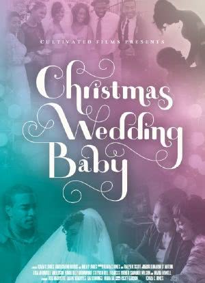 Christmas Wedding Baby海报封面图