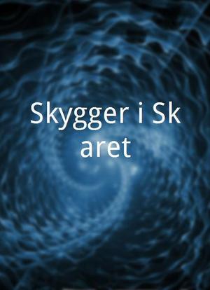 Skygger i Skaret海报封面图