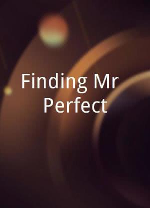 Finding Mr. Perfect海报封面图