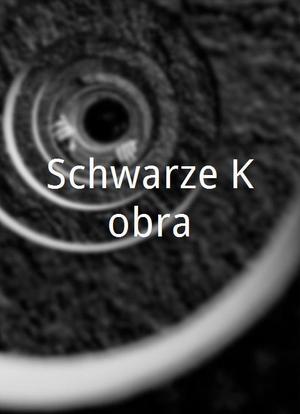 Schwarze Kobra海报封面图
