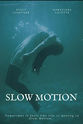 Stacy Lightner Slow Motion