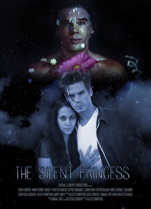 The Silent Princess海报封面图