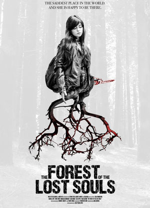 失魂的森林海报封面图