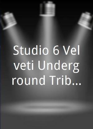 Studio 6 Velveti Underground Tribute海报封面图