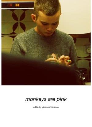 Monkeys Are Pink海报封面图