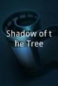 Hylton Allen Shadow of the Tree