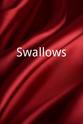 Conrad Evans Swallows
