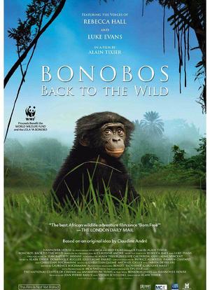 倭黑猩猩：回归自然海报封面图