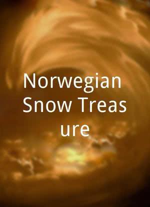 Norwegian Snow Treasure海报封面图