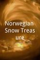 Reagan Wallace Norwegian Snow Treasure