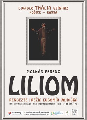 Liliom海报封面图