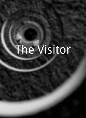 The Visitor海报封面图