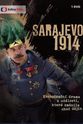 Darko Vladetic Sarajevo - Das Attentat