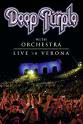 Alan Ravenscroft Deep Purple with Orchestra Live in Verona
