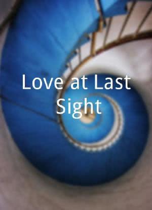 Love at Last Sight海报封面图