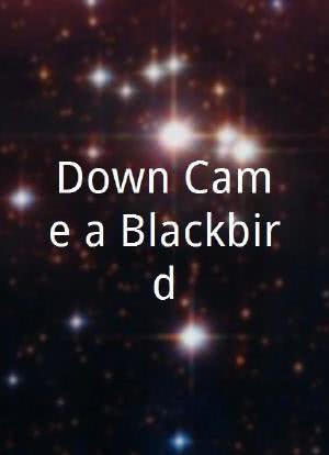 Down Came a Blackbird海报封面图