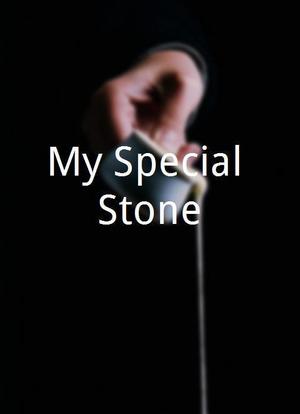 My Special Stone海报封面图