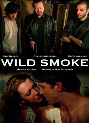 Wild Smoke海报封面图