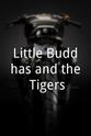 Etienne Verhaegen Little Buddhas and the Tigers