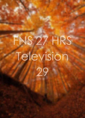 FNS 27 HRS Television 29海报封面图