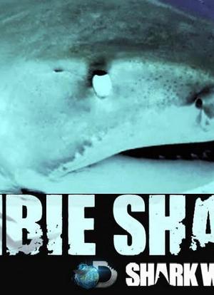 Zombie Sharks海报封面图