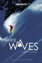 David Carrier Porcheron White Waves