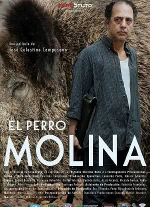 El Perro Molina海报封面图