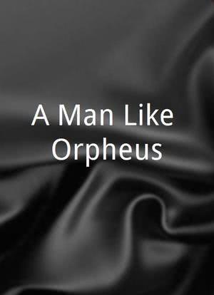 A Man Like Orpheus海报封面图