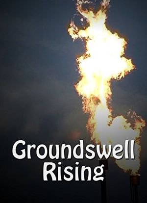 Groundswell Rising海报封面图