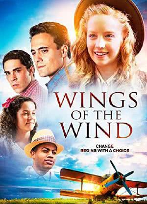 Wings of the Wind海报封面图