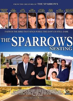 The Sparrows: Nesting海报封面图