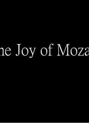 The Joy of Mozart海报封面图