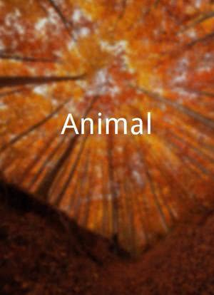 Animal海报封面图