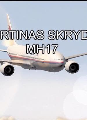 Todesflug MH17海报封面图