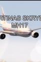Pavlo Klimkin Todesflug MH17