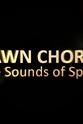 Nigel Paterson Dawn Chorus: The Sounds of Spring