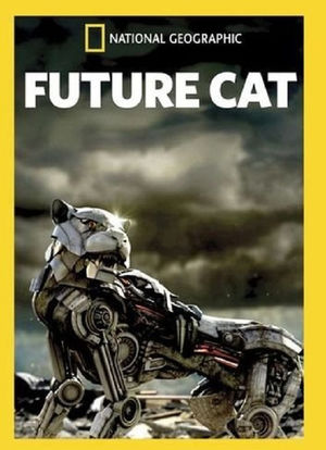 未来大猫海报封面图
