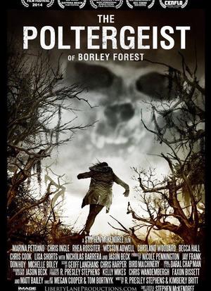 The Poltergeist of Borley Forest海报封面图