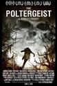 Chris Wandembergh The Poltergeist of Borley Forest