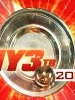 Premiya Muz-TV 2003海报封面图