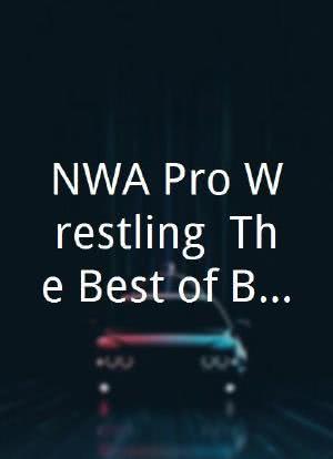 NWA Pro Wrestling: The Best of Blue Demon Jr.海报封面图