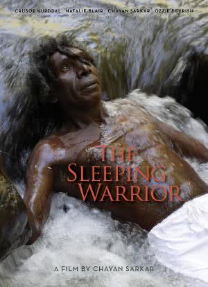 The Sleeping Warrior海报封面图