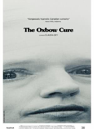 The Oxbow Cure海报封面图