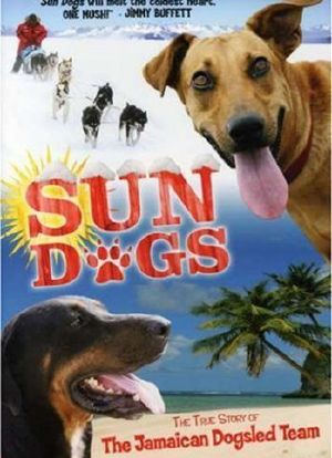 Sun Dogs海报封面图