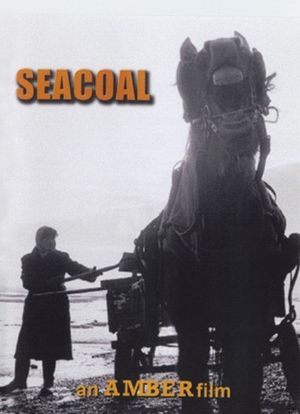 Seacoal海报封面图
