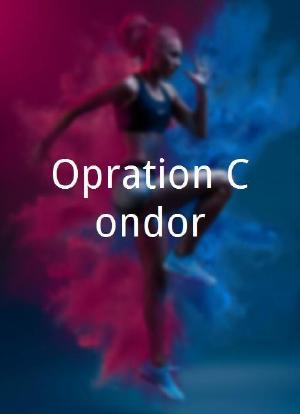 Opération Condor海报封面图
