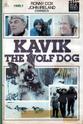 Iréna Mayeska The Courage of Kavik, the Wolf Dog
