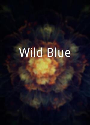 Wild Blue海报封面图