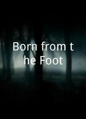 Born from the Foot海报封面图